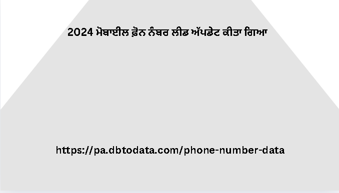 2024 ਮੋਬਾਈਲ ਫ਼ੋਨ ਨੰਬਰ ਲੀਡ ਅੱਪਡੇਟ ਕੀਤਾ ਗਿਆ