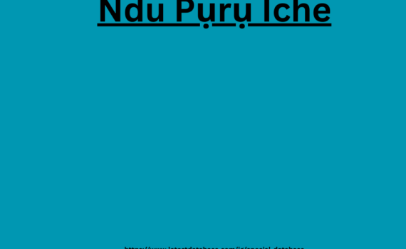 Ndu Pụrụ Iche