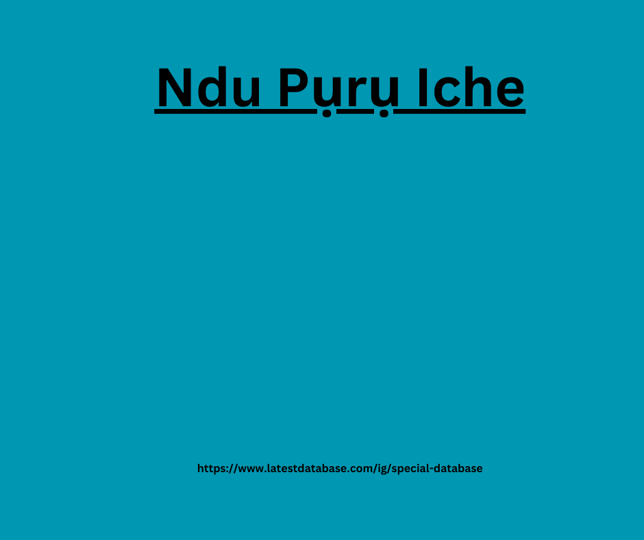 Ndu Pụrụ Iche