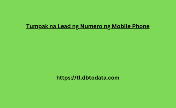 Tumpak na Lead ng Numero ng Mobile Phone